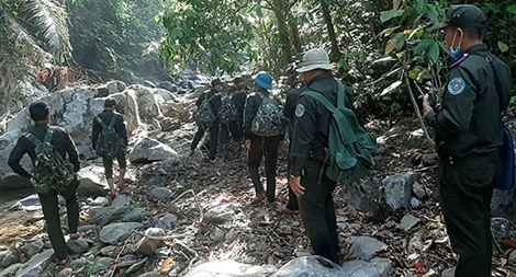 Nhiều giải pháp phòng cháy, chữa cháy rừng trong mùa nắng nóng