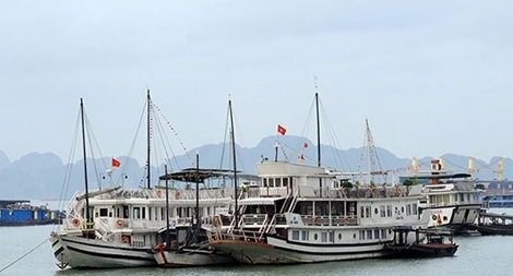 Kịp thời có cơ chế, chính sách để phục hồi hoạt động du lịch