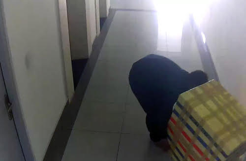 Chuẩn bị xét xử nam sinh sát hại nữ sinh bỏ thùng xốp 