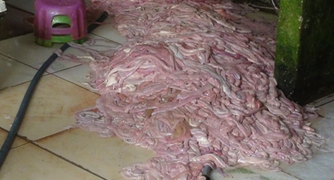 Phát hãi với gần 15 tấn nội tạng động vật bốc mùi chuẩn bị phục vụ thực khách