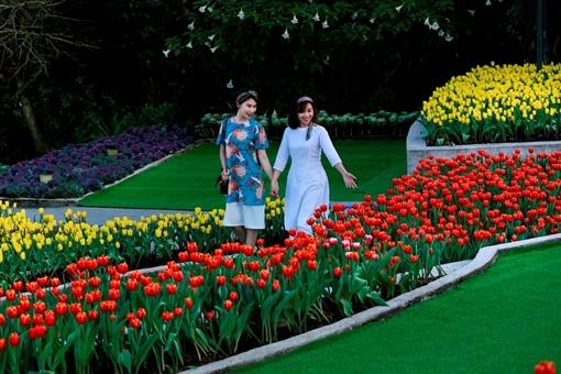 Lễ hội hoa tulip tại Bà Nà được trao kỷ lục Guinness Việt Nam