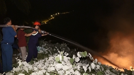 Hàng trăm người tham gia dập lửa trên bán đảo Sơn Trà trong đêm