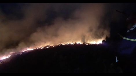 Rừng Sơn Trà lại tiếp tục bị cháy trong đêm 