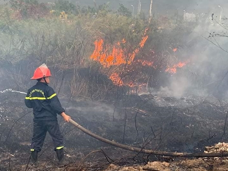 Phong tỏa đường lên bán đảo Sơn Trà vì cháy rừng 