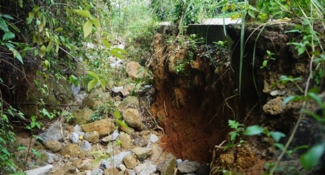 Bán đảo Sơn Trà lại bị sạt lở nghiêm trọng