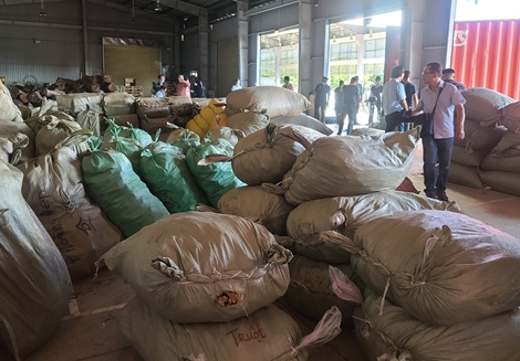 103 tấn dược liệu “đội lốt” nông sản từ Trung Quốc nhập cảng Đà Nẵng