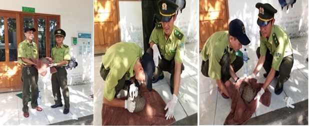 Cảnh sát môi trường cùng Kiểm lâm phát hiện nhiều vụ bẫy bắt động vật hoang dã