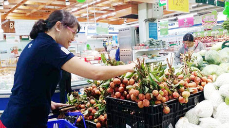 Saigon Co.op có kế hoạch tiêu thụ 500 tấn vải tươi cho nông dân