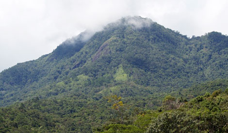 Người đàn bà bên thung lũng Yang Tao
