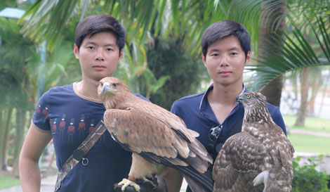 Kì công với thú vui huấn luyện "chúa tể bầu trời"