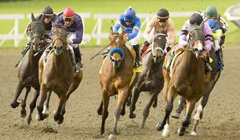 Rút dự thảo Nghị định về kinh doanh đặt cược