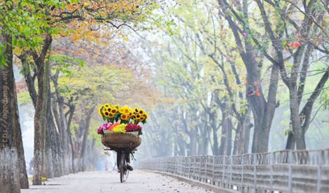 Bay với mùa Thu Hà Nội