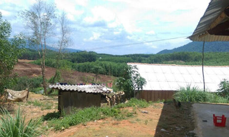 Trên đỉnh Phượng Hoàng