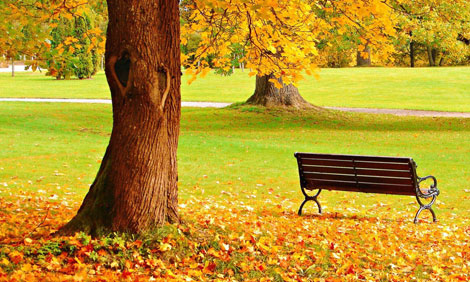 Nếu không còn mùa Thu