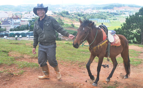 Nài ngựa ở xứ Langbiang
