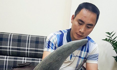 Bóc trần thủ đoạn tinh quái của dân buôn bán sừng tê, ngà voi