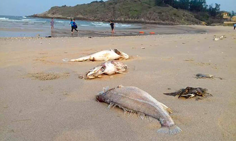 “Hạ cánh không an toàn” và niềm tin của người dân