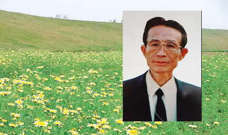 Cỏ non như thể bùa mê…