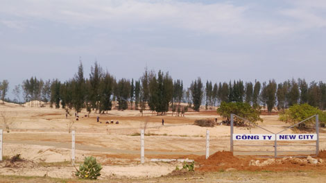 Dọn rừng phòng hộ để làm dự án du lịch khi chưa hoàn tất thủ tục pháp lý