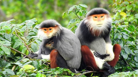 Không được phép quan liêu trong câu chuyện quy hoạch