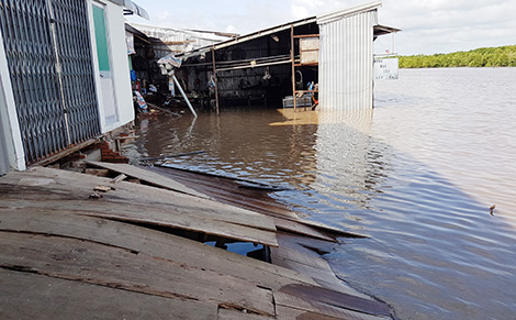 Xảy ra sạt lở, 26 hộ dân bị ảnh hưởng ở Cà Mau