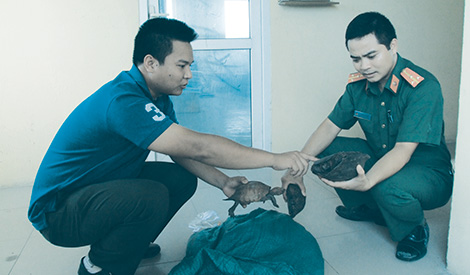 Bắt đối tượng vận chuyển trái phép 19 cá thể rùa