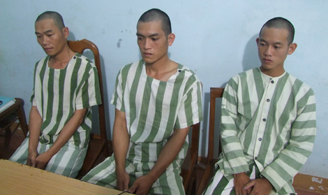 Bắt tạm giam 3 kẻ phá hoại rừng tự nhiên