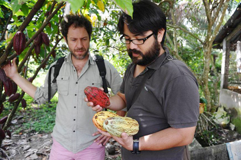 Trong ngọt còn vị đắng