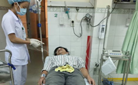 Ăn cá nóc, 3 người nhập viện cấp cứu