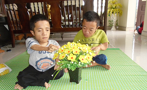 Trái tim không tật nguyền