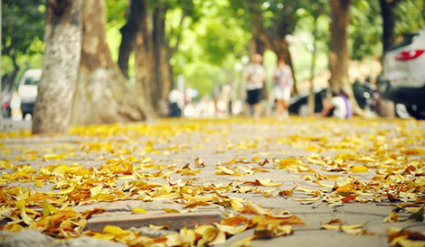 Anh chẳng thể giữ em thêm lần nữa