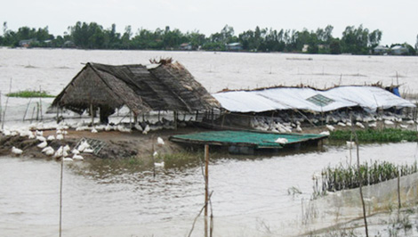 Bộ Công an chỉ đạo về việc ứng phó với mưa, lũ 