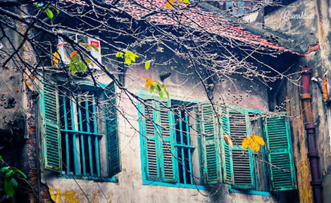 Mùa thu đi dài theo đất nước