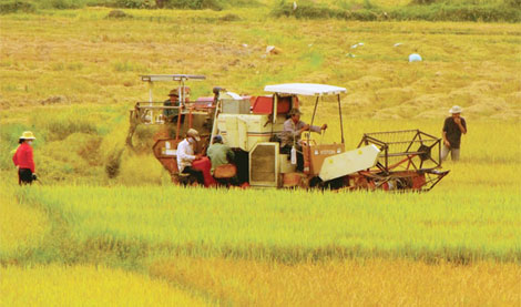 Xóa rào cản thu hút đầu tư vào nông nghiệp