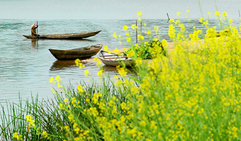 Tháng chạp - mùa nhớ…