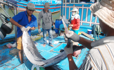 Niềm vui của ngư dân ăn Tết trên vùng biển Hoàng Sa, Trường Sa