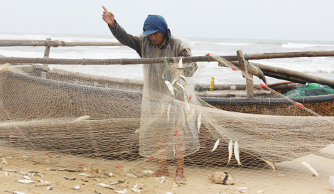 “Lộc biển” gần bờ