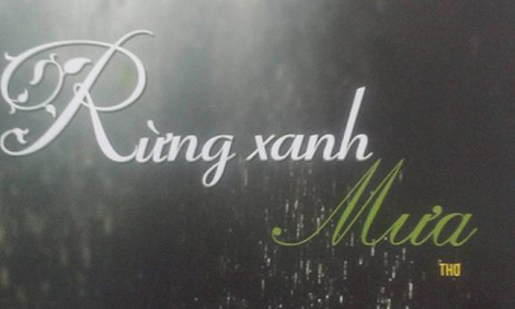 Huyền ảo những cơn mưa