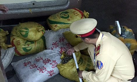 Thu 700 kg sò, tu hài Trung Quốc trên đường đi tiêu thụ