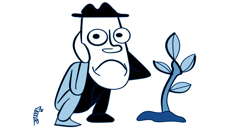 Nên trồng cây gì?