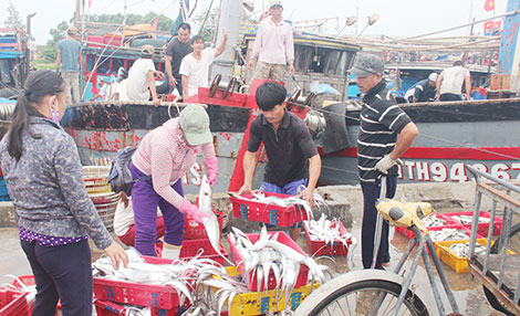 Ngư dân đoàn kết vươn khơi, bảo vệ lãnh hải Tổ quốc