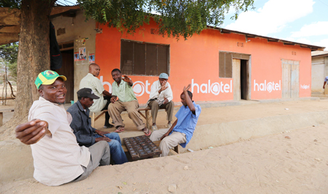 Giám đốc của Halotel được trả tự do ngay sau phiên tòa xét xử