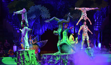 Vì sao nghệ sĩ xiếc chưa quan tâm xác lập bản quyền?