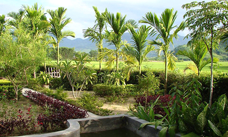 “Vườn”- Một mảnh tâm hồn Việt