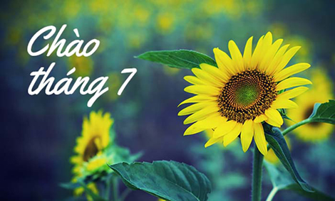 Hồn nhiên tháng bảy