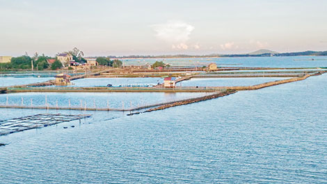 Bao giờ trả lại vẻ đẹp danh thắng quốc gia đầm Ô Loan?