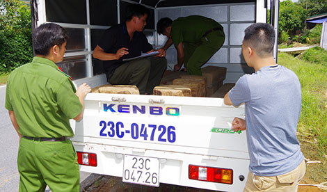 Phát hiện xe tải vận chuyển lâm sản trái phép