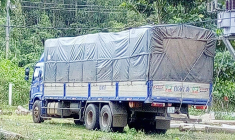 Ngụy trang gỗ trắc với gỗ mít để qua mắt kiểm lâm