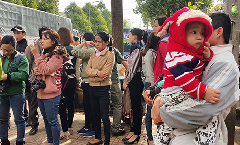 Lời thỉnh cầu của 500 giáo viên bị chấm dứt hợp đồng