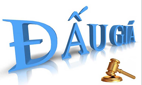 Tổ chức đấu giá: Khai thác rừng trồng cây keo